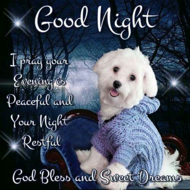 10 Good Night Message To Share with Friends and Family 2023 - picture 8