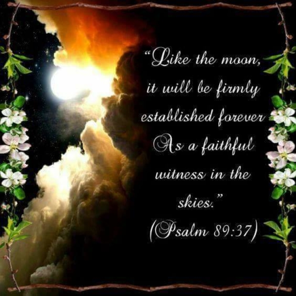 10 Good Night Messages So You Can End Your Night With Peace - picture 4