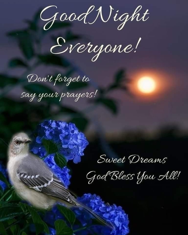 10 Good Night Messages So You Can End Your Night With Peace - picture 7