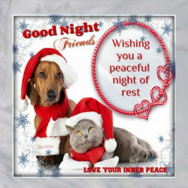 10 Good Night Peaceful Quotes To End A Very Beautiful Day - picture 2