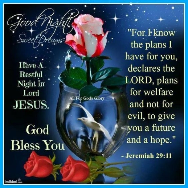 10 Good Night Photos, Pics And Quotes - picture 8