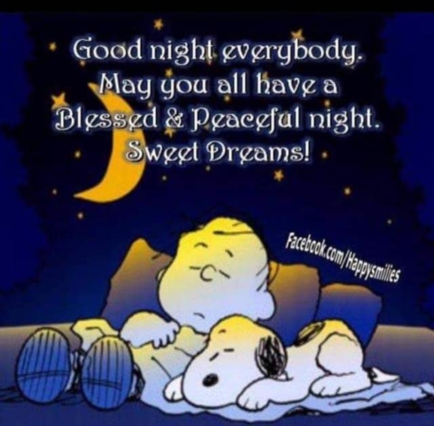 10 Good Night Pics & Quotes To End The Day With Blessings - picture 10