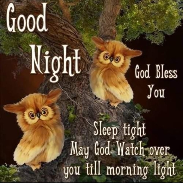 10 Good Night Pics & Quotes To End The Day With Blessings - picture 11