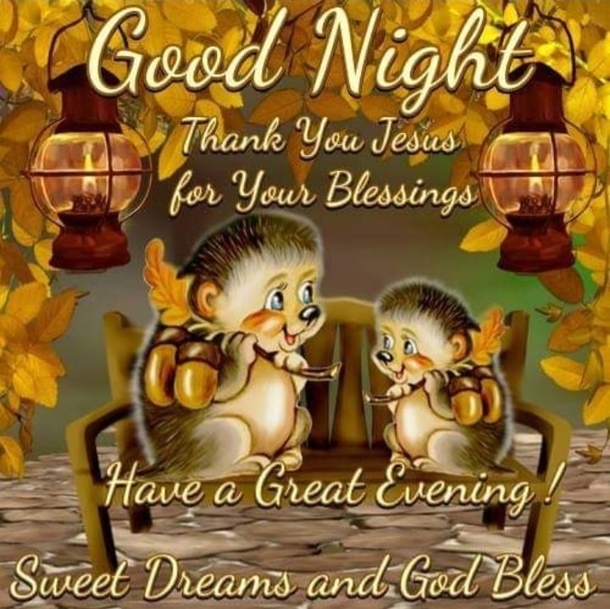 10 Good Night Pics & Quotes To End The Day With Blessings - picture 4
