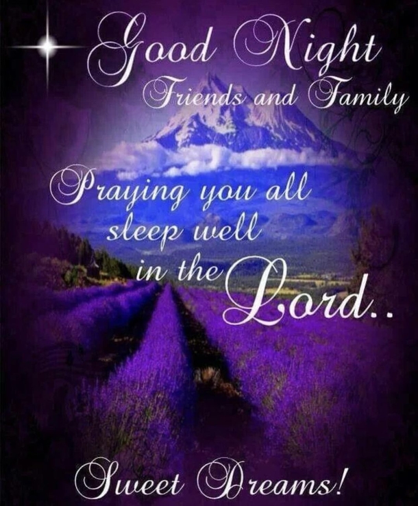 10 Good Night Pics & Quotes To End The Day With Blessings - picture 6