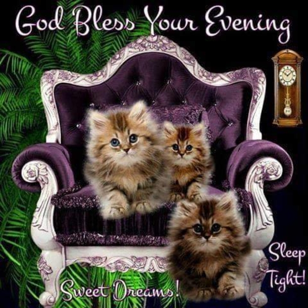 10 Good Night Picture Quotes, Sayings And Greetings To Share On Social Media - picture 11