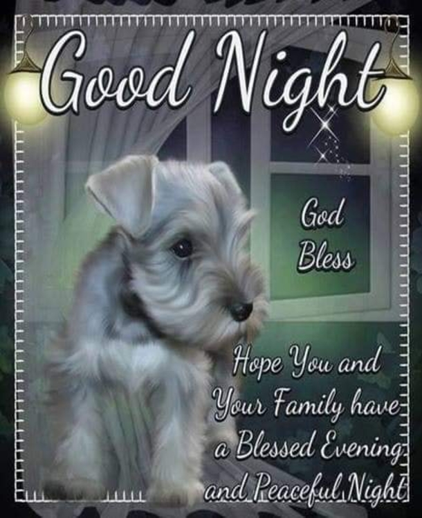 10 Good Night Picture Quotes, Sayings And Greetings To Share On Social Media - picture 2