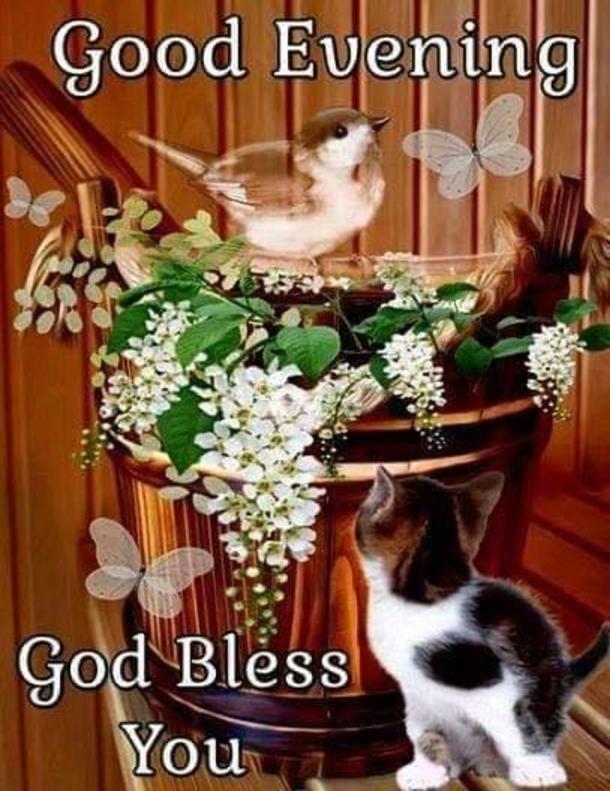 10 Good Night Picture Quotes, Sayings And Greetings To Share On Social Media - picture 5