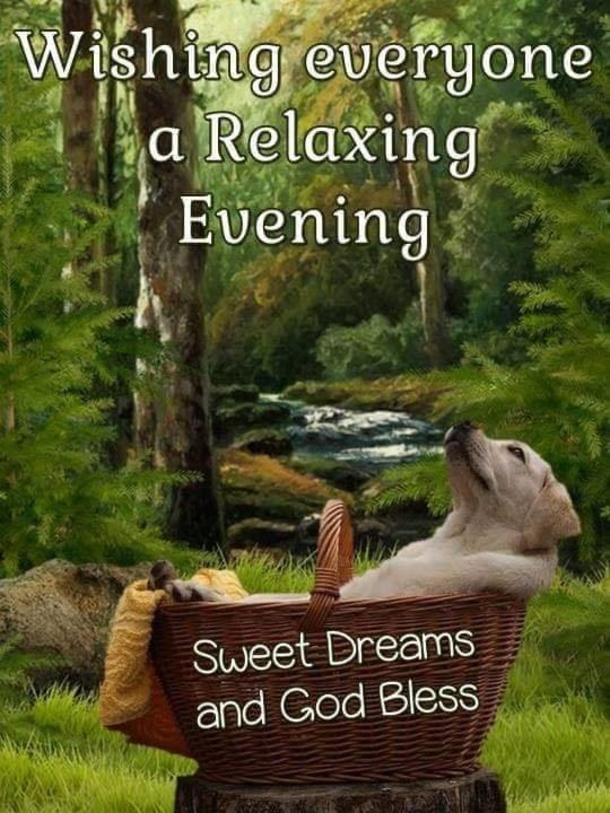 10 Good Night Picture Quotes, Sayings And Greetings To Share On Social Media - picture 6