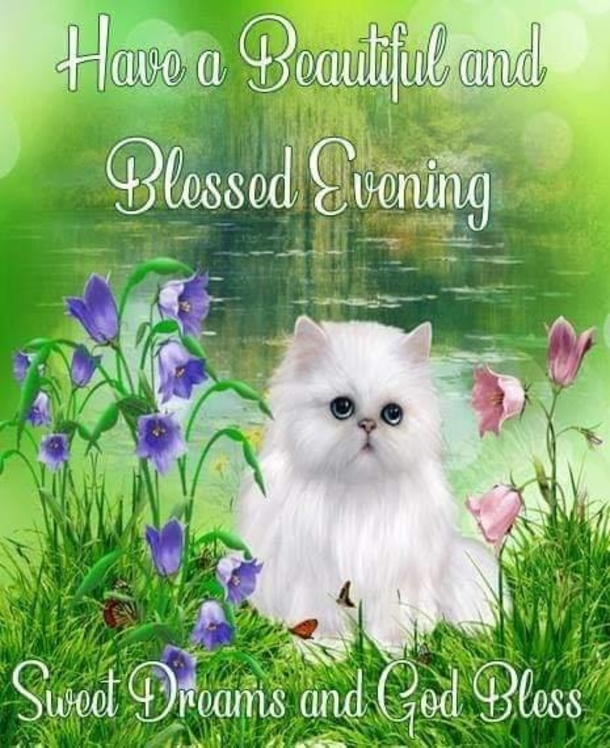 10 Good Night Picture Quotes, Sayings And Greetings To Share On Social Media - picture 7