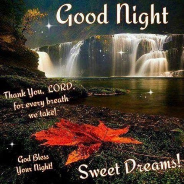 10 Good Night Pictures With Quotes To End Your Wonderful Day - picture 10