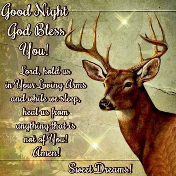 10 Good Night Quote Ideas And Wishes For 2023 - picture 4