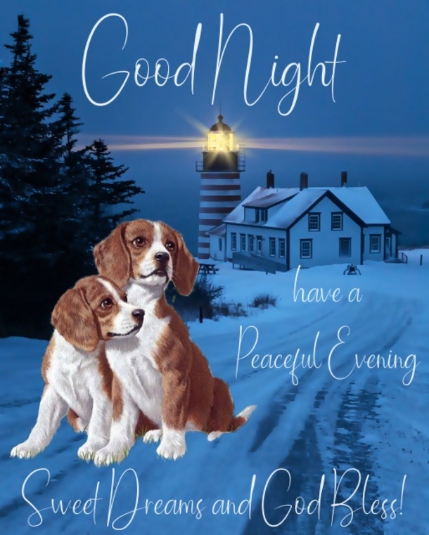 10 Good Night Quote Ideas And Wishes For 2023 - picture 9