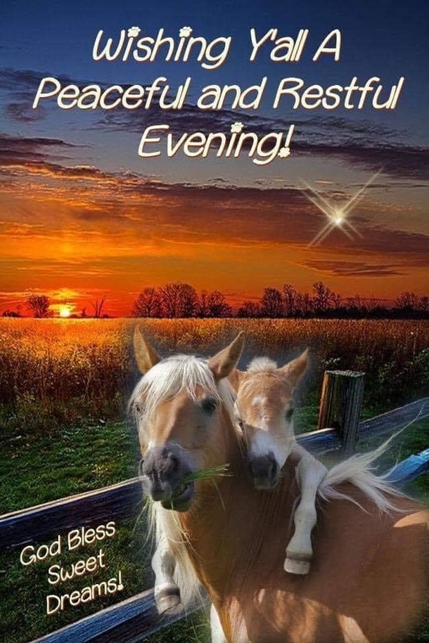 10 Good Night Quotes And Messages That Will Inspire You - picture 3
