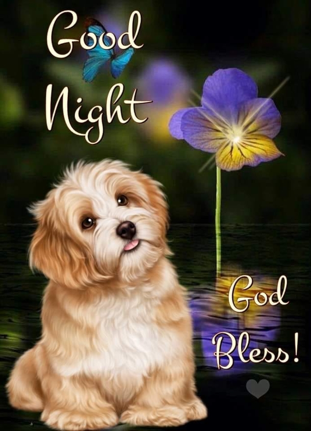 10 Good Night Quotes And Messages That Will Inspire You - picture 8