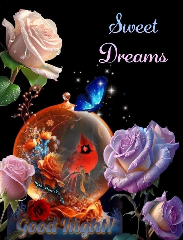 10 Good Night Quotes And Messages That Will Make You Smile - picture 6