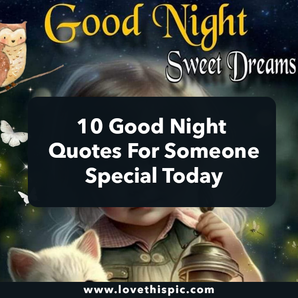 10 Good Night Quotes For Someone Special Today