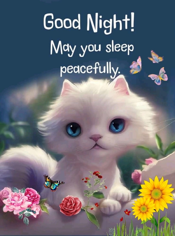 10 Good Night Quotes For Someone Special Today - picture 3