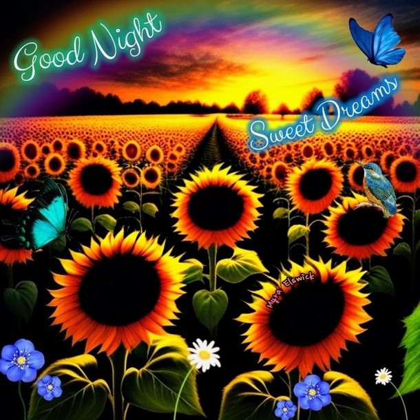 10 Good Night Quotes For Someone Special Today - picture 4
