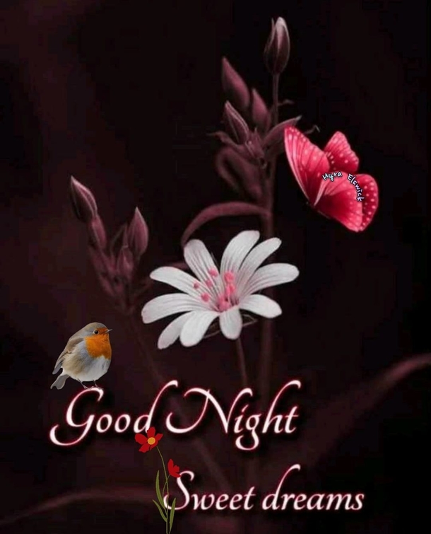 10 Good Night Quotes For Someone Special Today - picture 6