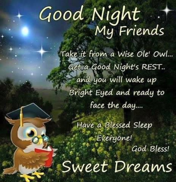 10 Good Night Quotes That Will Bless Your Night With Sweet Dreams - picture 3