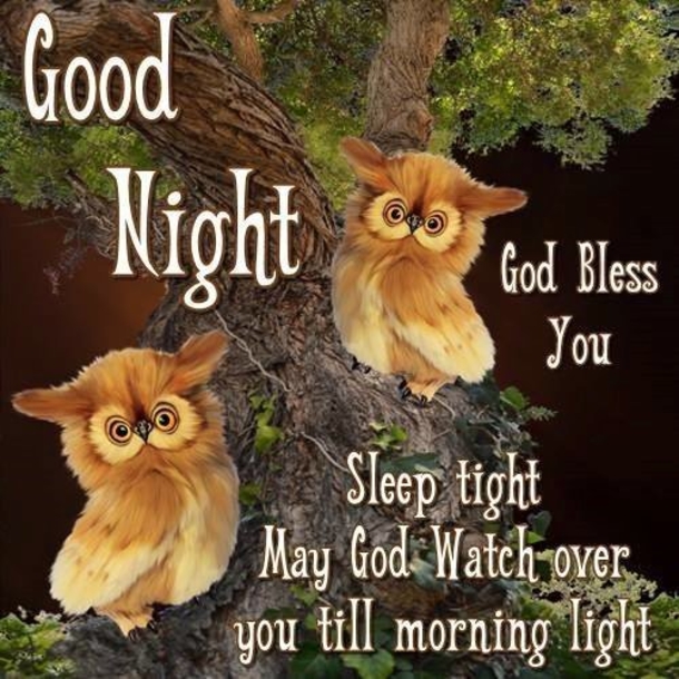 10 Good Night Quotes That Will Bless Your Night With Sweet Dreams - picture 4