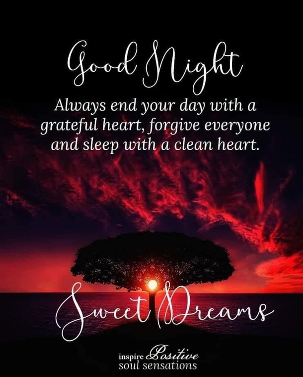 10 Good Night Quotes That Will Help Provide You With A Peaceful Sleep - picture 4