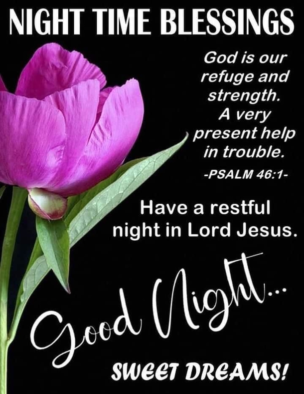 10 Good Night Quotes That Will Help Provide You With A Peaceful Sleep - picture 8