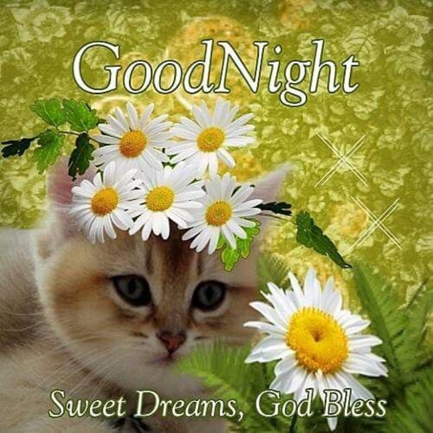 10 Good Night Quotes To Bless You With Sweet Dreams - picture 12