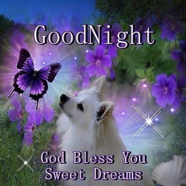 10 Good Night Quotes To Bless You With Sweet Dreams - picture 2