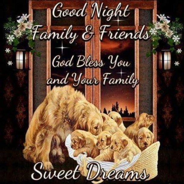 10 Good Night Quotes To Bless You With Sweet Dreams - picture 5