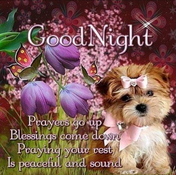 10 Good Night Quotes To Help You Rest Peacefully - picture 12