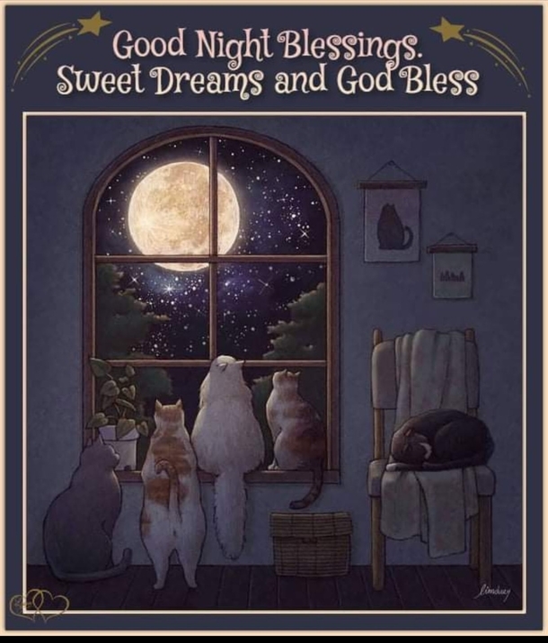 10 Good Night Quotes To Help You Rest Peacefully - picture 2
