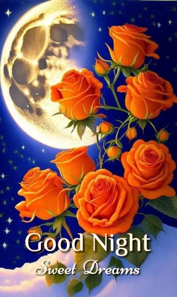 10 Good Night Quotes To Spread Cheer This Holiday Season - picture 10