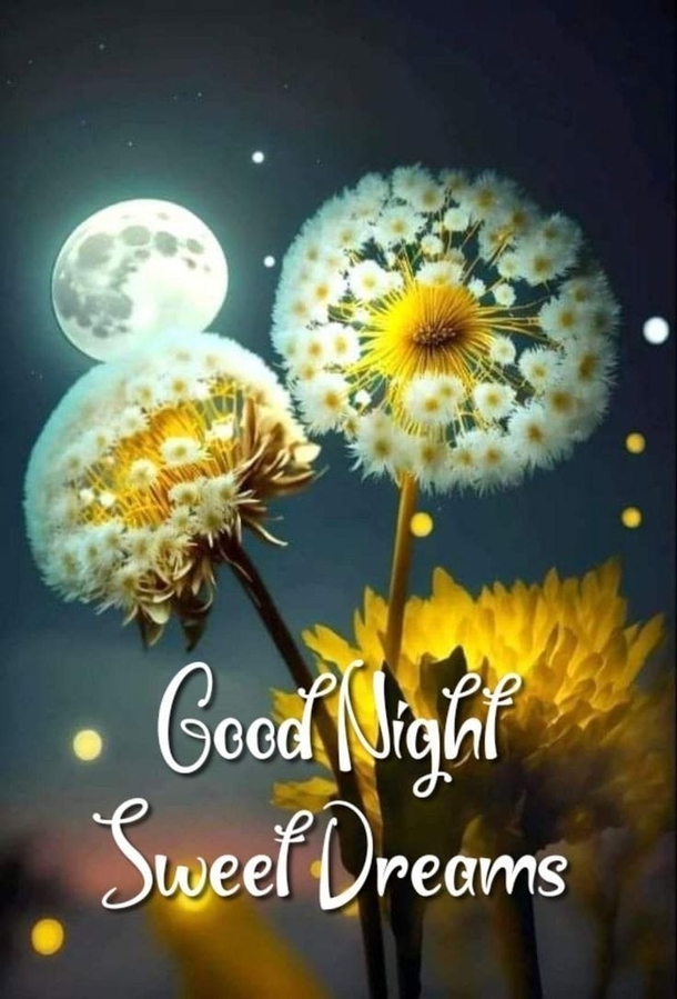 10 Good Night Quotes To Spread Cheer This Holiday Season - picture 8