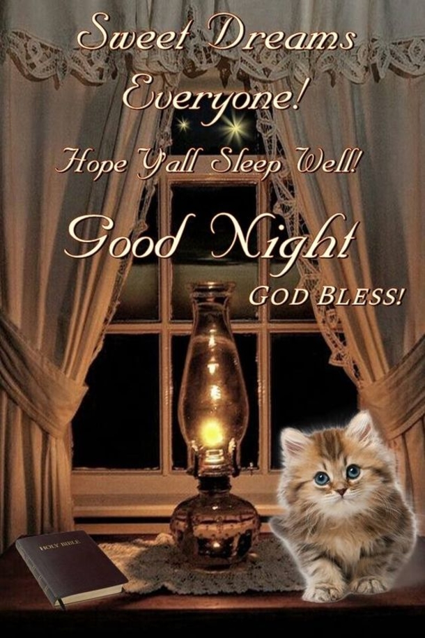10 Good Night Quotes With Beautiful Pictures - picture 11