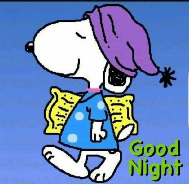 10 Good Night Quotes & Images To Reflect On A Long Week - picture 8