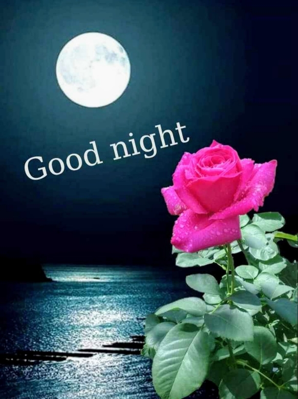 10 Good Night Wishes For Men And Women - picture 2