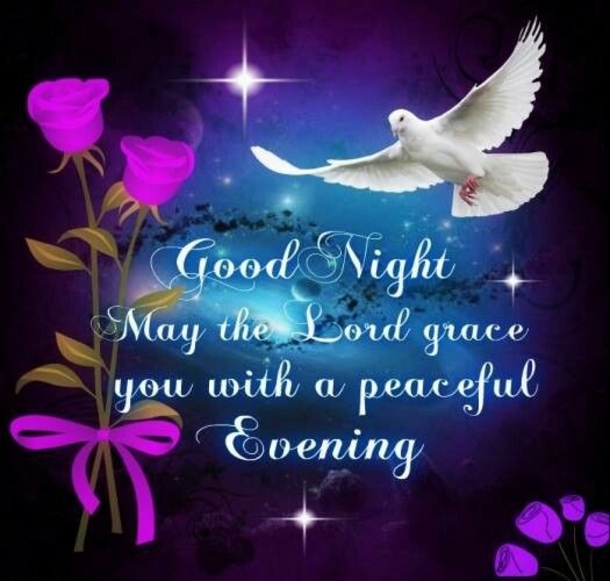 10 Good Night Wishes For Men And Women - picture 4