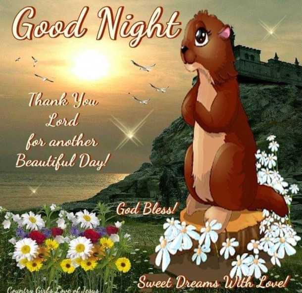 10 Good Night Wishes Quotes That Will Touch Your Heart - picture 10