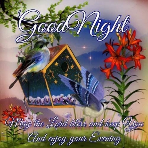 10 Good Night Wishes Quotes That Will Touch Your Heart - picture 11