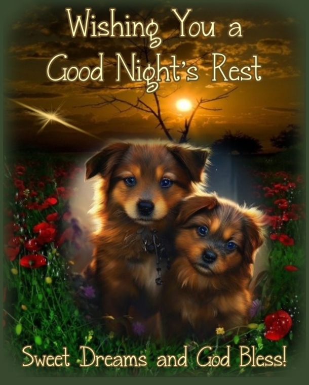 10 Good Night Wishes Quotes That Will Touch Your Heart - picture 2