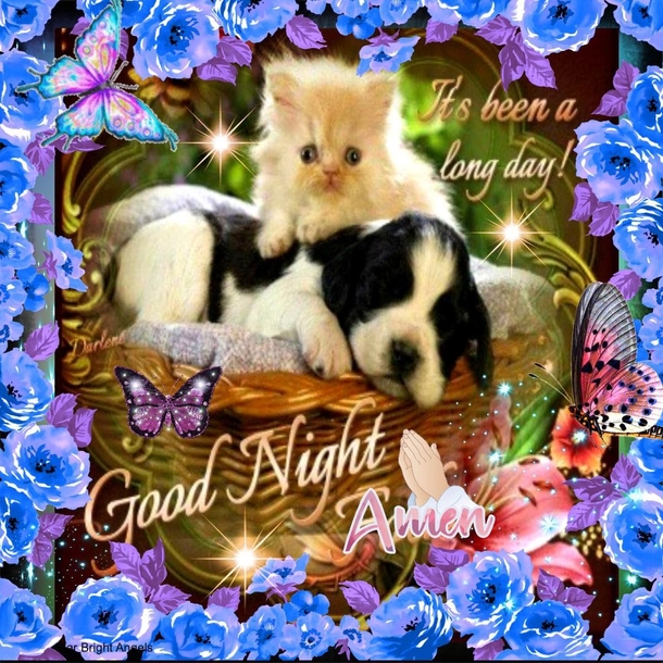 10 Good Night Wishes Quotes That Will Touch Your Heart - picture 3