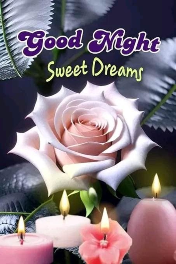 10 Good Night Wishes Quotes That Will Touch Your Heart - picture 7