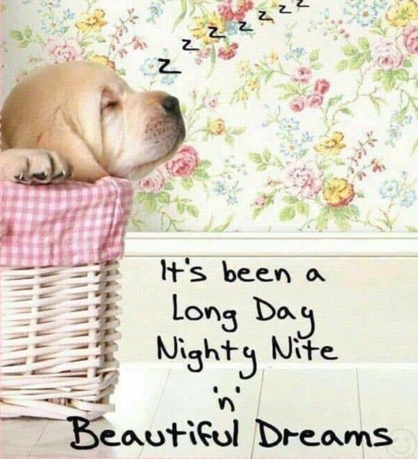 10 Good Night Wishes Quotes That Will Touch Your Heart - picture 9