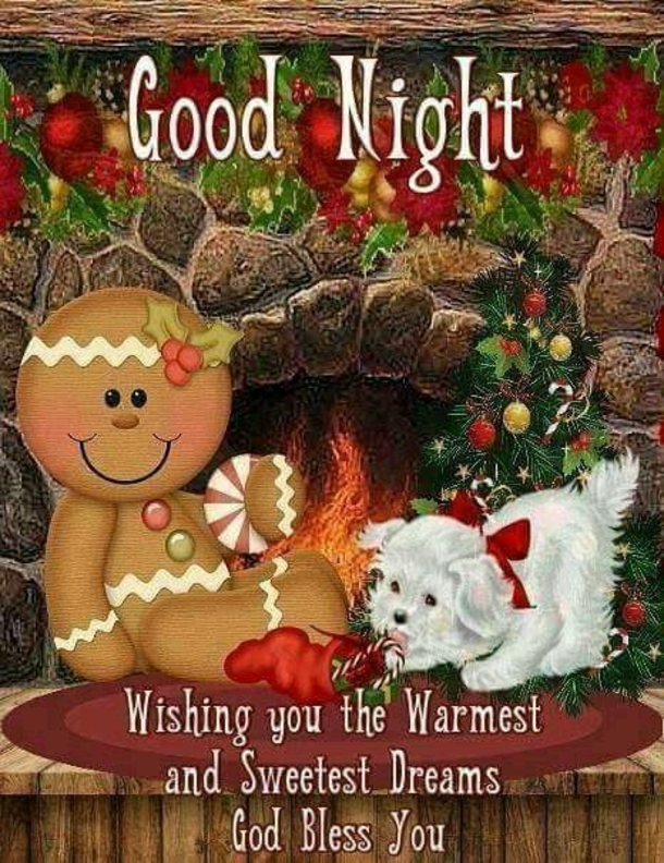 10 Good Night & Good Evening Christmas Quotes - picture 3