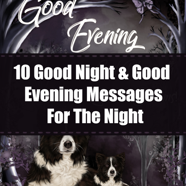 10 Good Night & Good Evening Messages For The Night