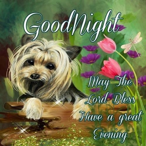 10 Good Night & Good Evening Messages For The Night - picture 10