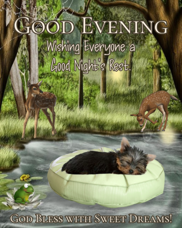 10 Good Night & Good Evening Messages For The Night - picture 11