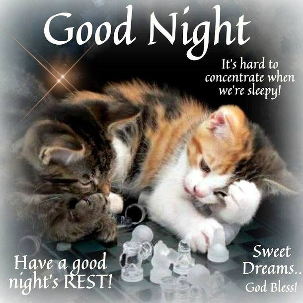 10 Good Night & Good Evening Messages For The Night - picture 2